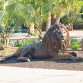 Garden Decorative life size bronze lying lion sculpture
